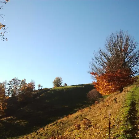 Rombach *